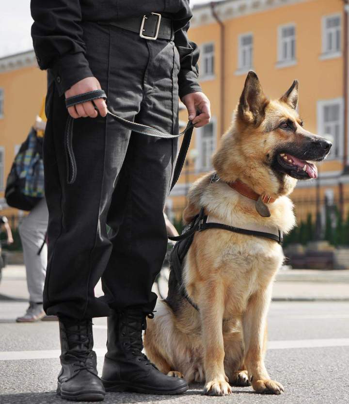 Agent cynophile Château-Thierry